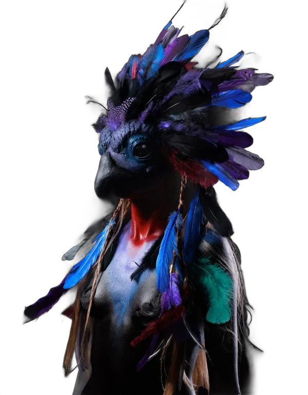 MSD — feathered crow